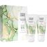 Therme Forest Flower Meditation Giftset