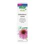 A.Vogel Echinaforce Herstellende Creme 30 GR