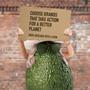 Nature Box Avocado Repair Conditioner 385 ML