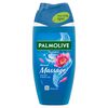 Palmolive Thermal Mineral Massage Douchegel 250 ML