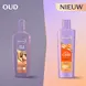 Andrélon Oil & Care Shampoo 250 ML