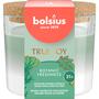 Bolsius True Joy geurkaars Botanic Freshness
