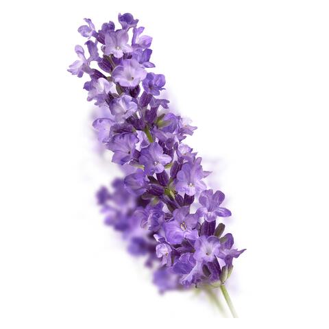 Kneipp Relaxing Douchefoam 200 ML