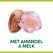 Palmolive Naturals Delicate Care Melk & Amandel Blokzeep 4x90 gram
