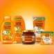 Garnier Loving Blends Argan & Cameliaolie Shampoo 300 ML