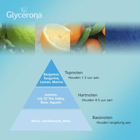 Glycerona Hygiënische Aloë Vera Handgel 100 ML