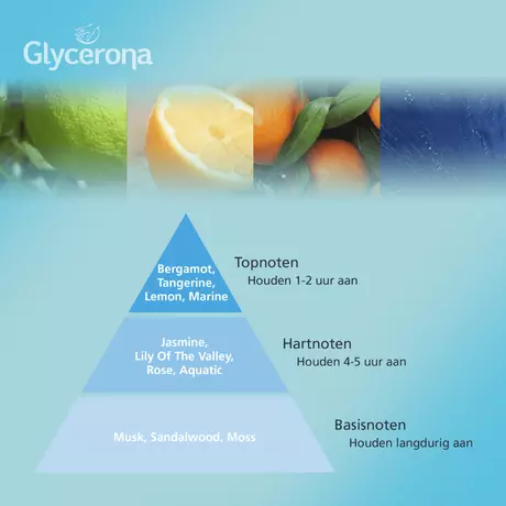 Glycerona Hygiënische Handgel 100 ML