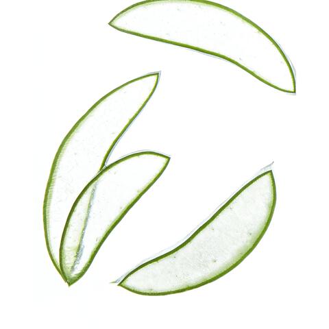 NIVEA Shampoo 2-in-1 Express Shampoo 250 ML