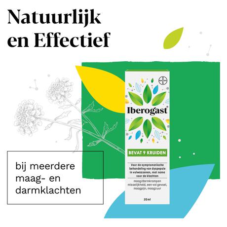 Iberogast Druppels Bij Prikkelbare Maag- En Darmklachten 50 ML