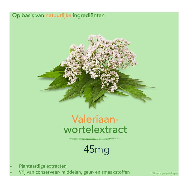 Valdispert Rust 50 tabletten