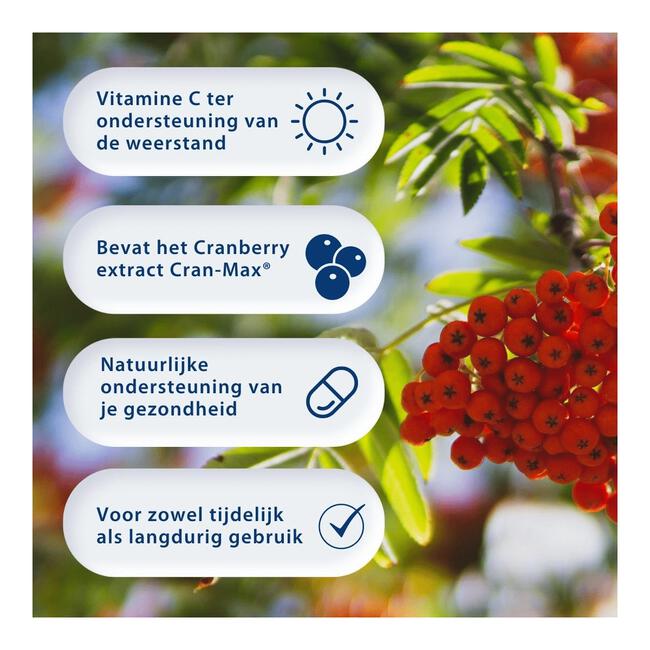 BlaseBerry 100 capsules