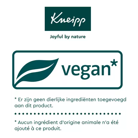 Kneipp Soft Skin Badschuim 400 ML