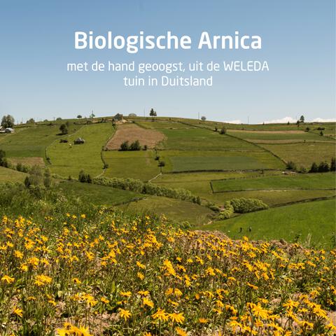 Weleda Arnica Sport Douchegel 200 ML