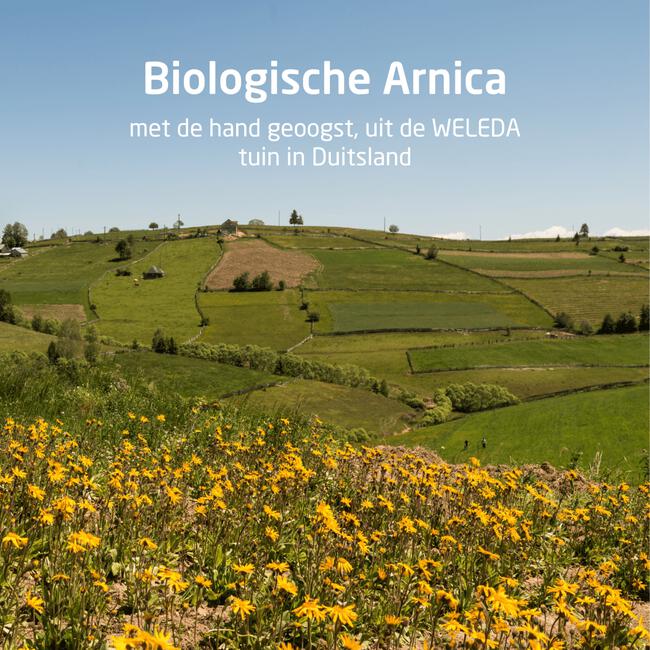 Weleda Arnica Sport Douchegel 200 ML
