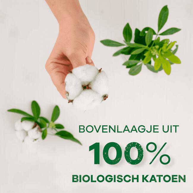 Always Dailies Cotton Protection Inlegkruisjes Groot 32 Inlegkruisjes
