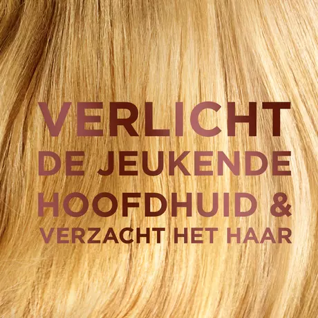 Garnier Loving Blends Shampoo Milde Haver 300 ML