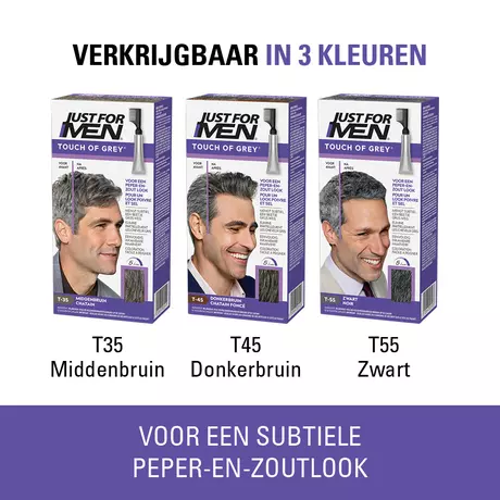 Just For Men Touch of Grey T35