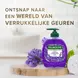 Palmolive Sensorial Escape Lavender & Bergamot Handzeep 300 ML