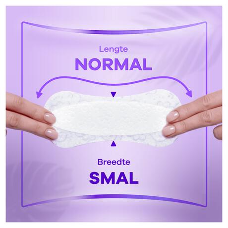 Always Slim Multiform Fresh Normal  