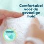 Pampers Premium Protection Maxi Pack Luiers Maat 6 13-18 KG 70 Stuks