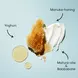 Shea Moisture Manuka Honey Yoghurt Leave in Conditioner 237 ML
