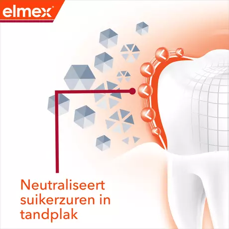 Elmex® Anti-Cariës Professional Ortho Tandpasta 75 ML