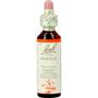 Bach Bloesem Essence Mimulus 20 ML