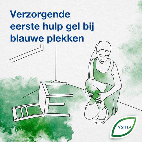 VSM Arniflor Eerste Hulp Gel 25 GR
