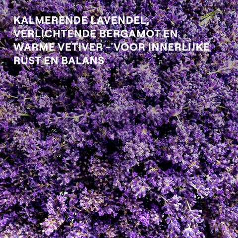 WELEDA Relax Shower Gel Soothing Lavender 200 ML