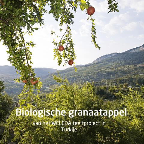 Weleda Granaatappel 24H Deodorant Roller 50 ML