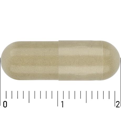 Etos multi jonge moeder 60 caps