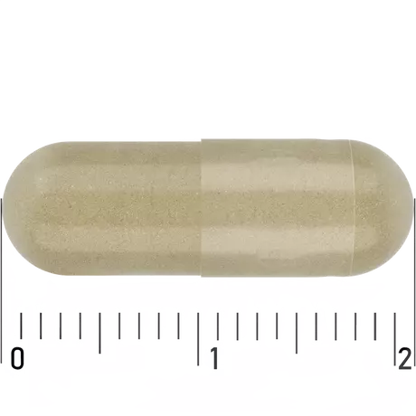 Etos multi jonge moeder 60 caps