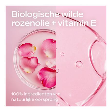 Weleda Verwennende Body Lotion Wilde Rozen 250 ML&nbsp;