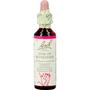 Bach Bloesem  Essence Star of Bethlehem 20 ML