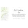 Therme Zen White Lotus eau de parfum 30 ML