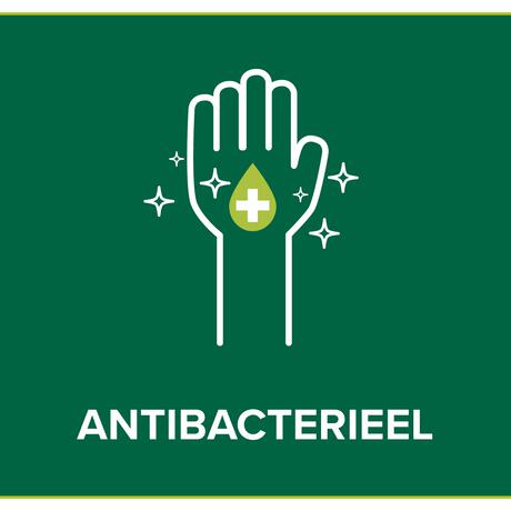 Palmolive Hygiëne Plus Clean & Fresh Antibacteriële Vloeibare Handzeep 500 ML