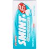 Smint Xl tin clean breath intense mint