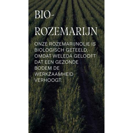 Weleda Rozemarijn Revitaliserende Conditioner 150 ML
