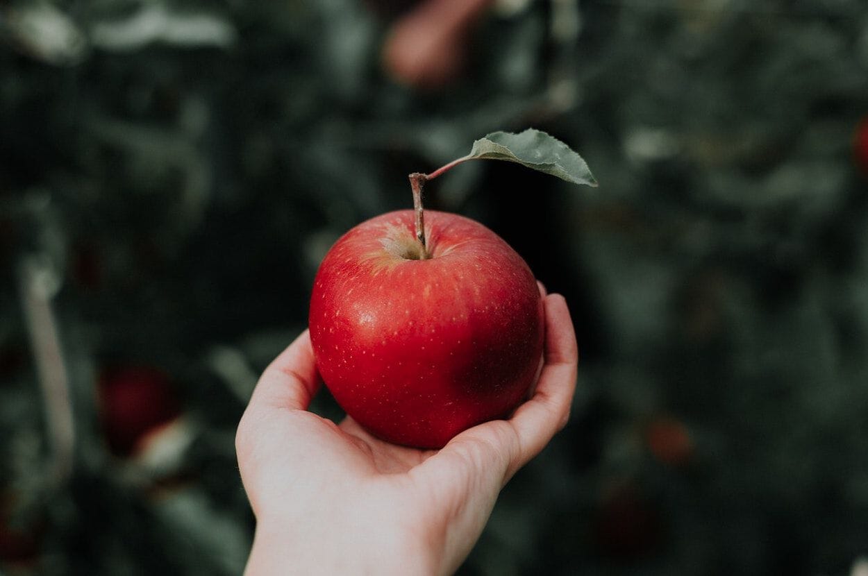 Vrouw met een appel in haar hand.