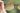 bril met groene achtergrond
