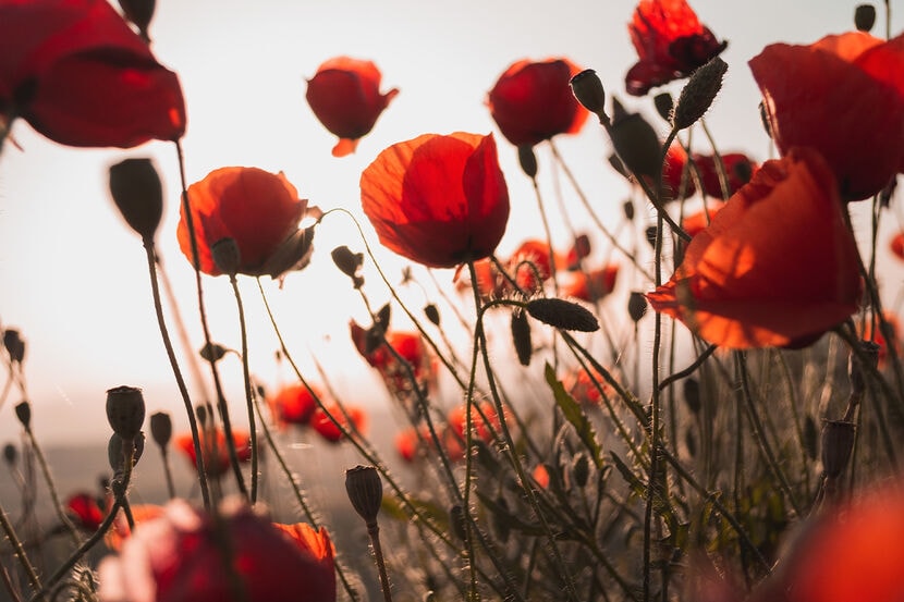 Rode vlekken in je gezicht: wat kan de oorzaak zijn? | Etos