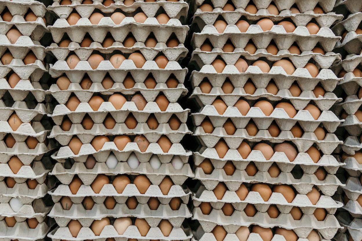 dozen met eieren