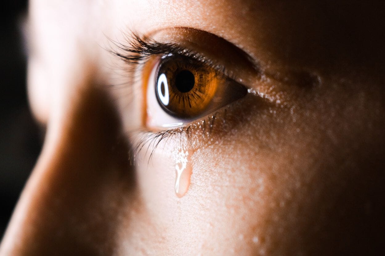 Anatomie van het oog