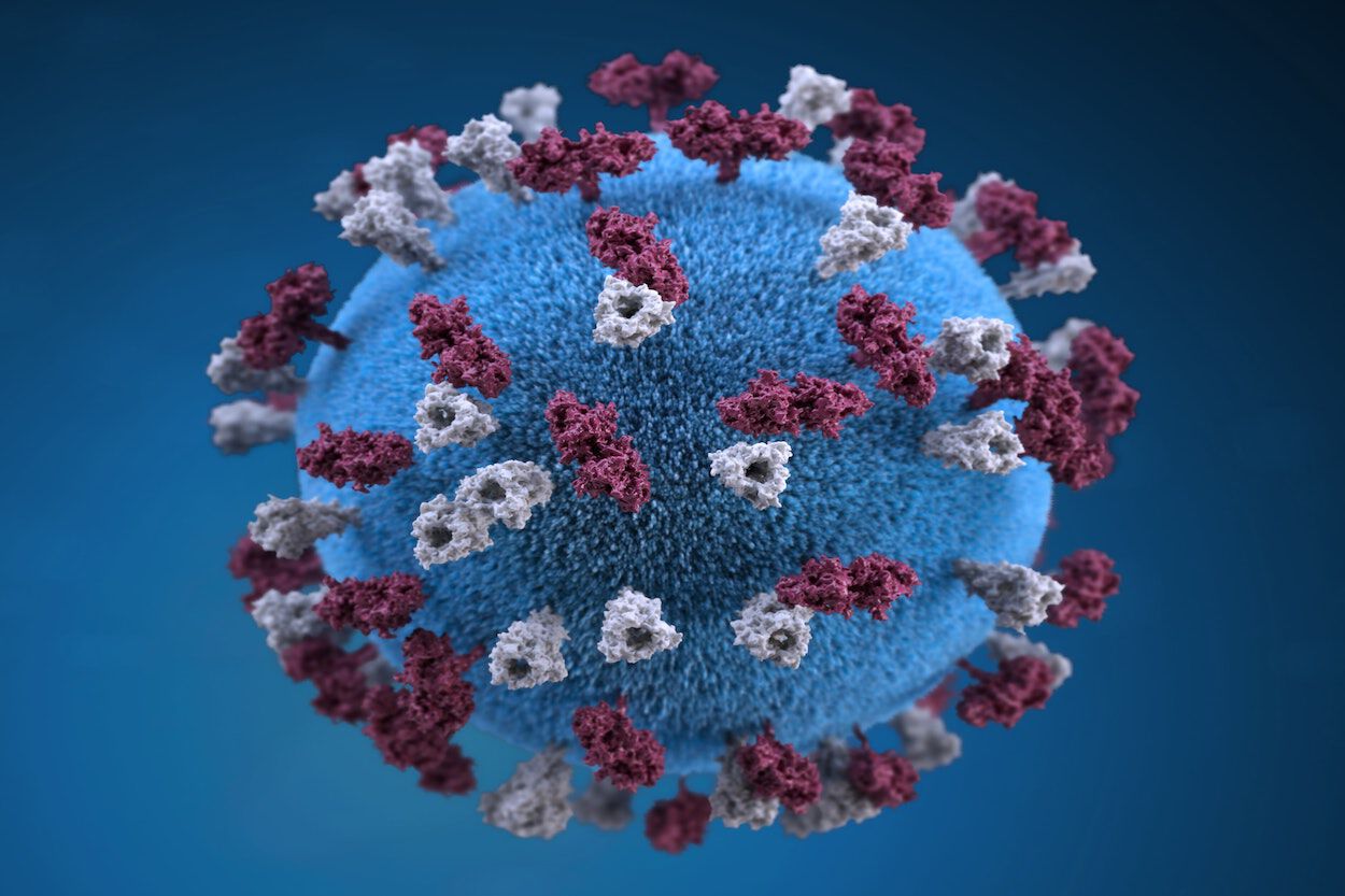 ESBL bacteriën en BRMO: hoe ontstaan ze en hoe gevaarlijk zijn ze?