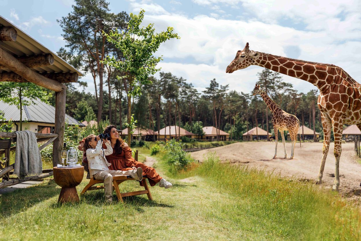 Meisje met verrekijker bij giraffen