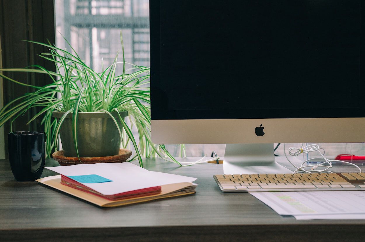 werkplek met plant