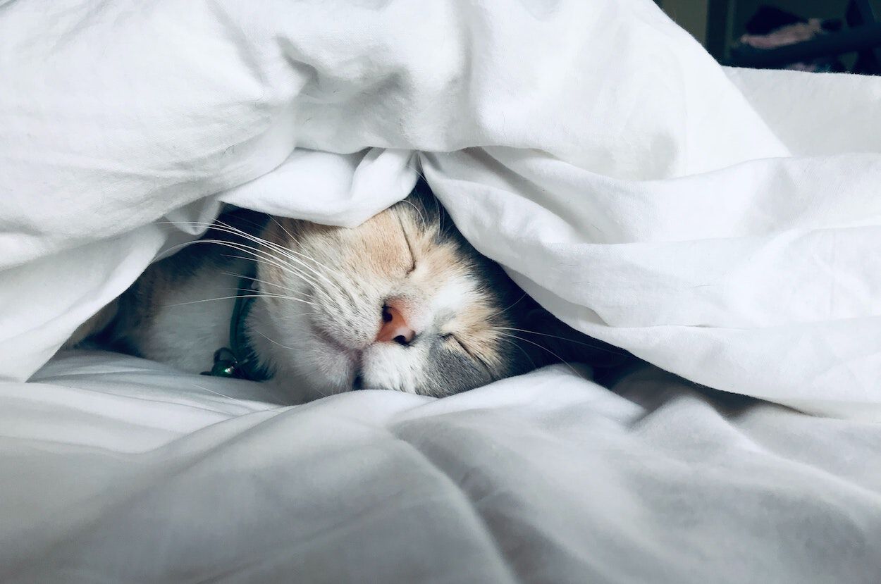 Powernap