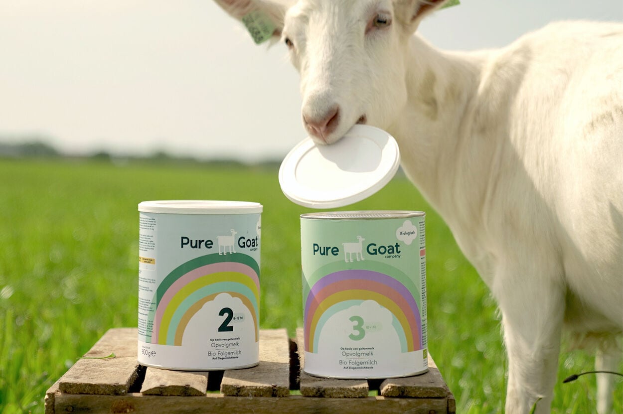 Pure Goat