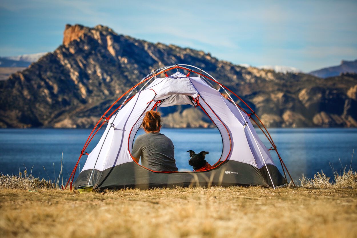 vrouw met hond in tent