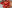 Alternative text missing